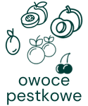 Kawa z nutami owoców pestkowych